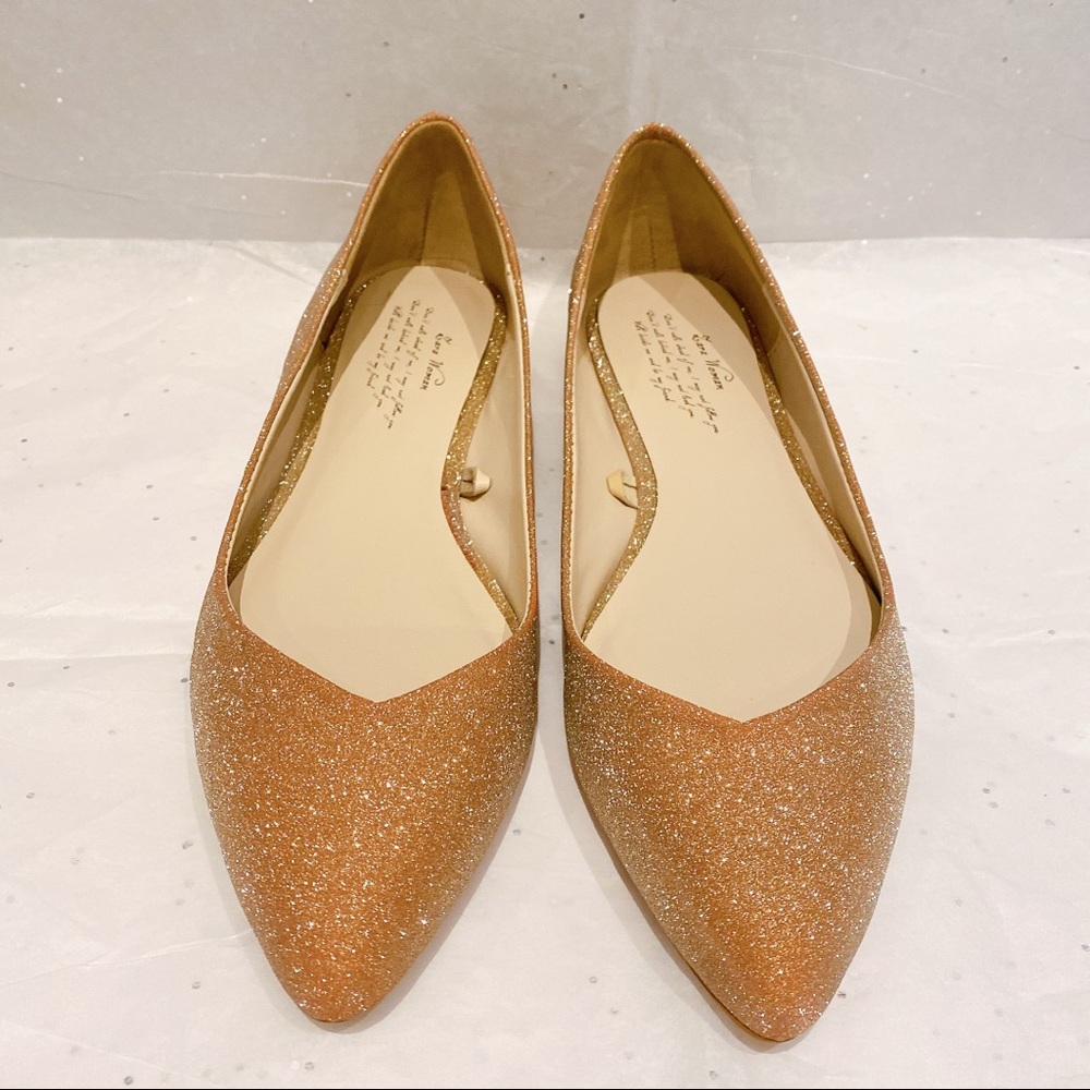 NWOT Zara Ballet Flats